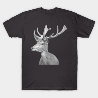 Black and White Deer T-Shirt